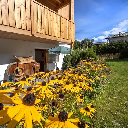 Apartment Bea Ortisei